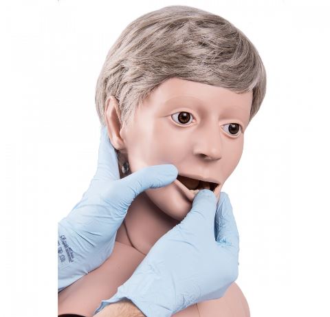 Modele zabiegowe 3B Scientific XP001/1