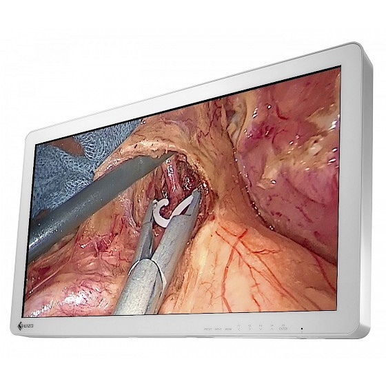 Monitory medyczne Eizo CuratOR EX2721