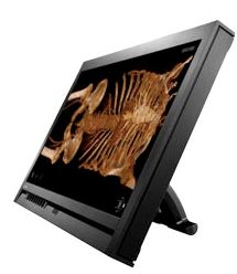 Monitory medyczne Eizo RadiForce MS231WT