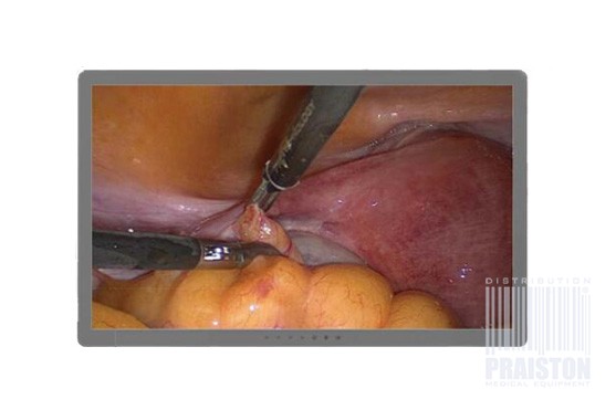 Monitory medyczne BEACON S271P