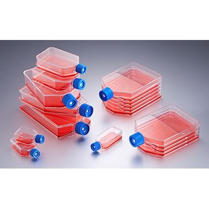 Naczynia do hodowli komórkowych Corning Life Science Butelki do hodowli komórkowych