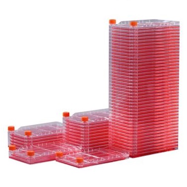 Naczynia do hodowli komórkowych BIO-LINK Cell Factory