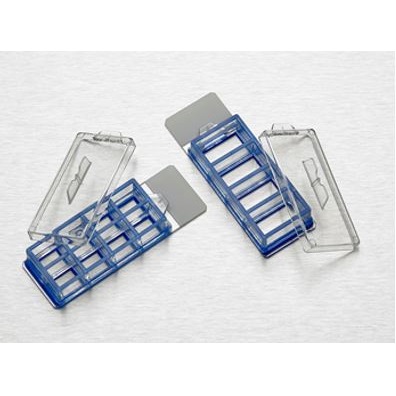 Naczynia do hodowli komórkowych Corning Life Science Culture Slides