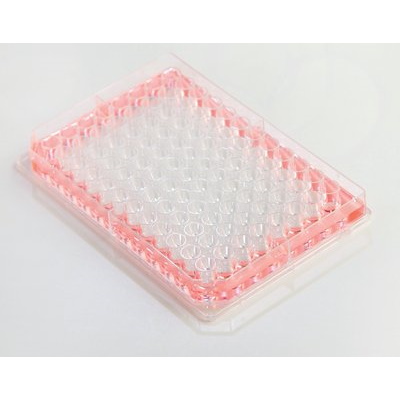 Naczynia do hodowli komórkowych THERMO SCIENTIFIC Nunc Edge 2.0