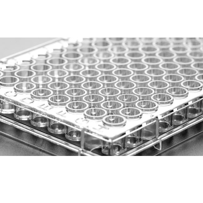 Naczynia do hodowli komórkowych BIO-LINK Płytki wielodołkowe