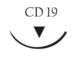 Nici chirurgiczne z igłą okrągłą Vigilenz Ecosorb fast F34CD19W