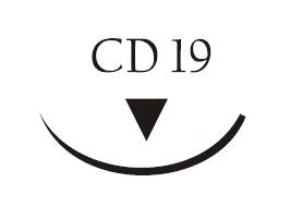 Nici chirurgiczne z igłą okrągłą Vigilenz Esteron T37CD190