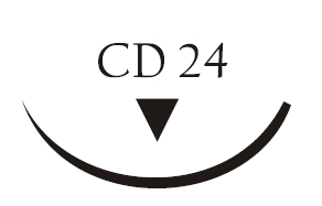Nici chirurgiczne z igłą okrągłą Vigilenz Esteron T37CD240