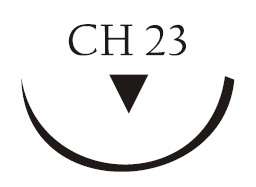 Nici chirurgiczne z igłą okrągłą Vigilenz Silk S34CH230