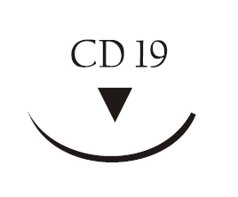 Nici chirurgiczne z igłą okrągłą Vigilenz Silk S54CD190