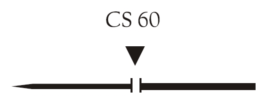 Nici chirurgiczne z igłą prostą Vigilenz T27CS600