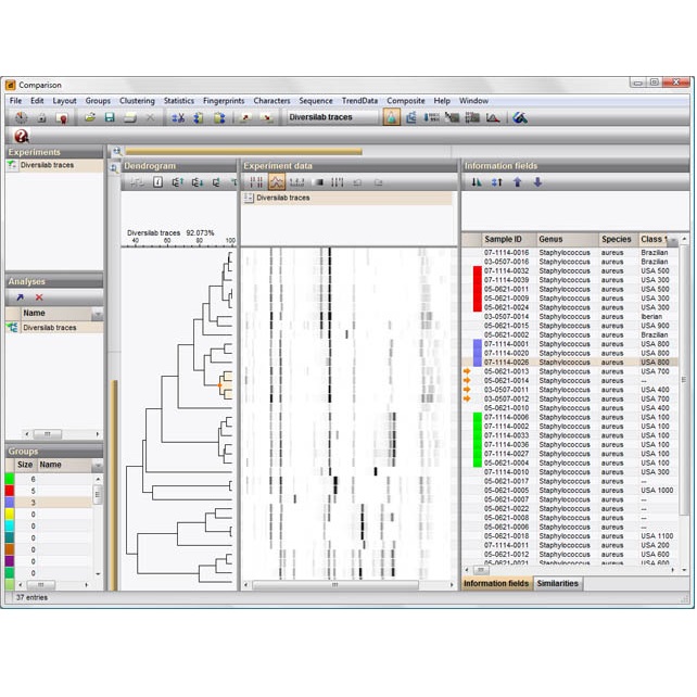 Oprogramowanie do identyfikacji drobnoustrojów i lekowrażliwości bioMerieux BioNumerics