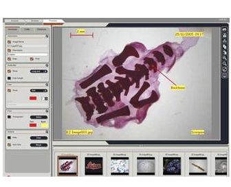 Oprogramowanie mikroskopowe LEICA LAS EZ