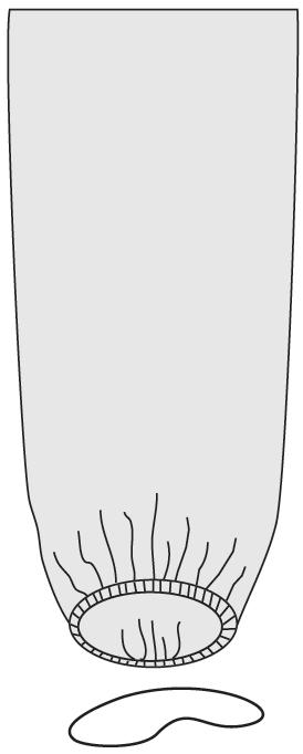 Pokrowce na urządzenia medyczne na salę operacyjną JKT/MOLNLYCKE 380095