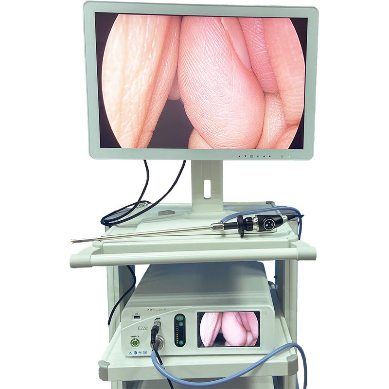 Procesory i źródła światła Shantou  Kamera  FHD Easywell Electronics technologies E22B