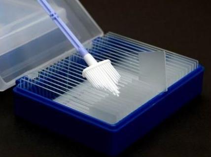 Pudełka na szkiełka mikroskopowe B/D Pudełko na 25 szkiełek