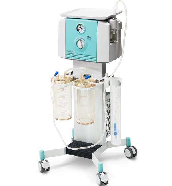 Ssaki elektryczne Cheiron Victoria Versa