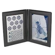 Stereotesty Stereo Optical muchy / symbole LEA