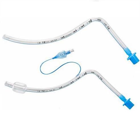 kształtowa ustna-czoło