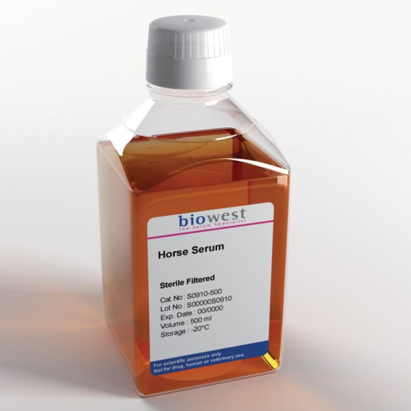 Surowice Biowest Surowica konia