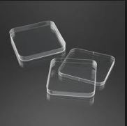 Szalki Petriego z tworzyw sztucznych LP Italiana Kwadratowa