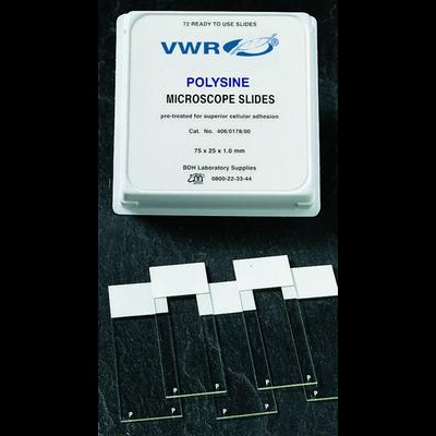 Szkiełka podstawowe VWR Polysine