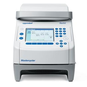 Termocyklery Eppendorf Mastercycler nexus