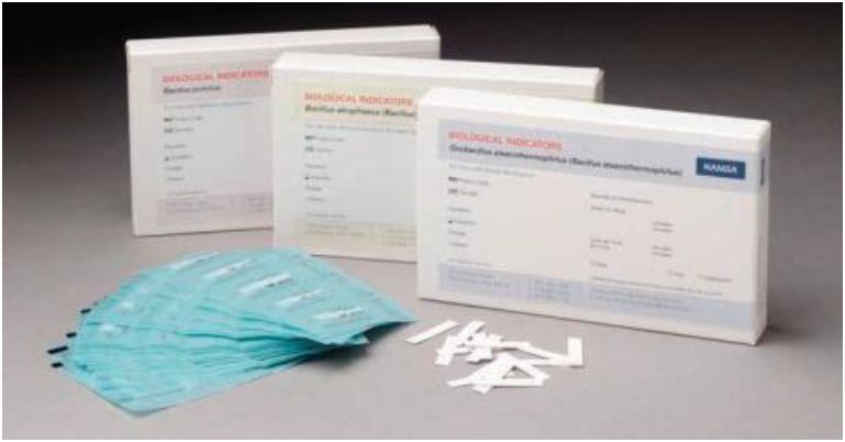 Testy biologiczne do sterylizacji parowej NAMSA BI-SS STS-05