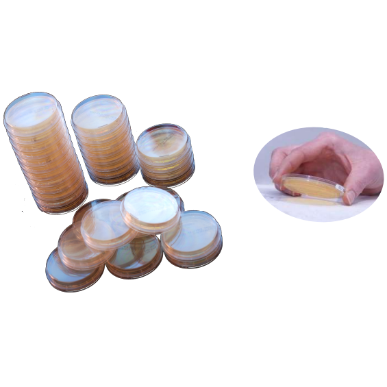 Testy do monitoringu powierzchni BIOMAXIMA PŁYTKI ODCISKOWE TYPU RODAC