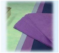 Torebki poststerylizacyjne Clinipak TCOVERDRY001 400X700mm + 90mm zakładka brzegowa - opakowanie 200 torebek