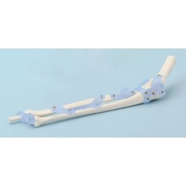 Układ kostny ERLER ZIMMER 4557