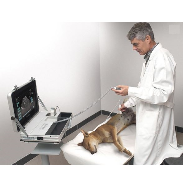 Ultrasonografy wielonarządowe weterynaryjne - USG ECHO-SON EPIDOT SC VET