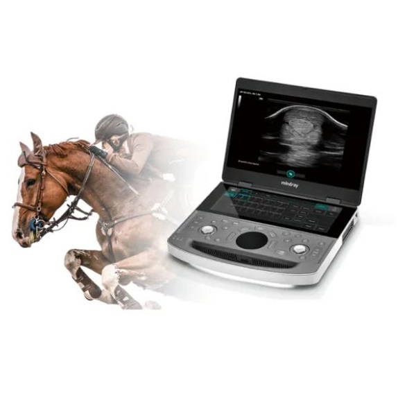 Ultrasonografy wielonarządowe weterynaryjne - USG MINDRAY Vetus EQ