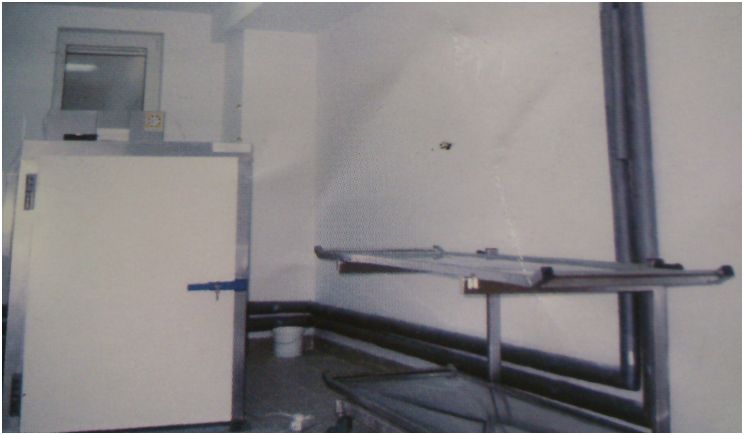 Wózki do przewożenia zwłok Gastromasz WZT-1.2