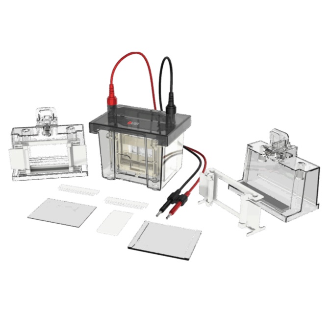 Zbiorniki do elektroforezy DLAB Scientific DL-Mini01