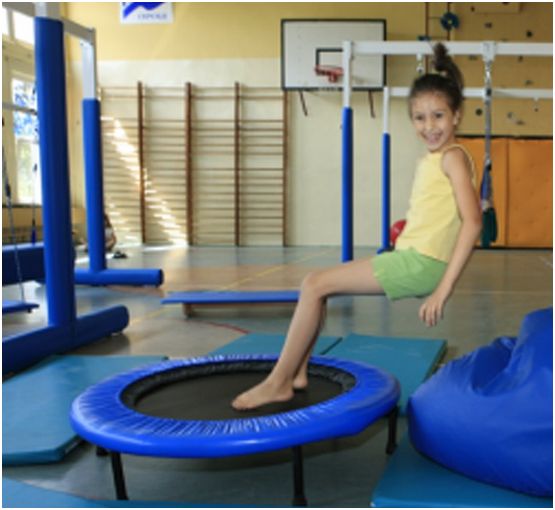 Zestawy sprzętu rehabilitacyjnego OPIW ZESTAW GSI TYP „T” - WERSJA STANDARD STZ - 2