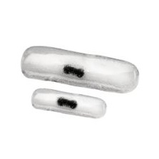 Znaczniki do biopsji piersi Mammotome MammoSTAR