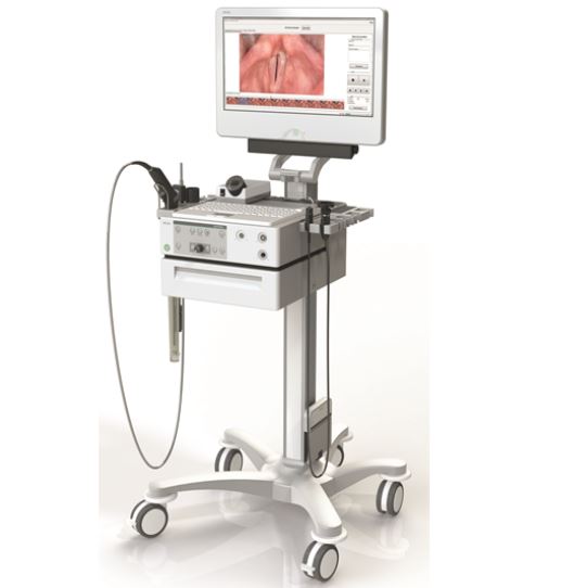 Źródła światła do videostroboskopów XION EndoSTROB EL