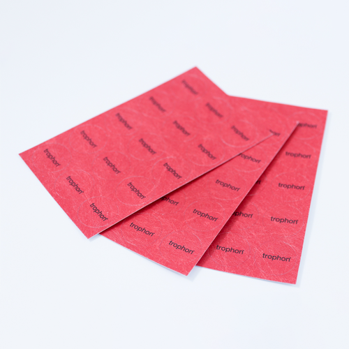 Aparaty do dezynfekcji głowic USG Nanosonics TROPHON®2