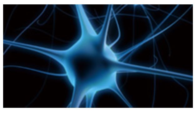 Aparaty do laseroterapii ITO Physiotherapy & Rehabilitation LAZR-207 / 215