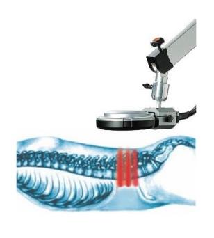 Aparaty do magnetoterapii BTL SALUS-TALENT