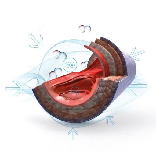 Aparaty do pulsoterapii (kardiologicznie synchronizowana) STENDO STENDO