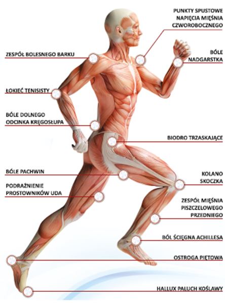 Aparaty do terapii falami uderzeniowymi Storz Duolith SD1 Ultra