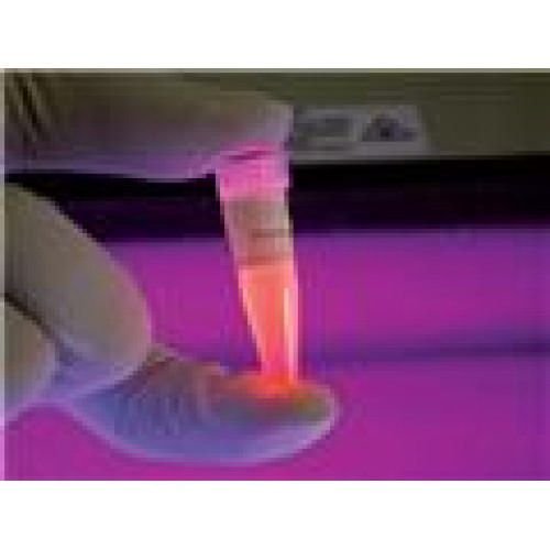 Barwniki do biologii molekularnej G Biosciences Glow