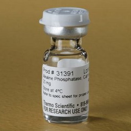 Barwniki do biologii molekularnej THERMO SCIENTIFIC Fosfataza alkaliczna Pierce