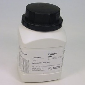 Barwniki do elektroforezy GE Healthcare PlusOne Zestaw barwienia srebrem Białka