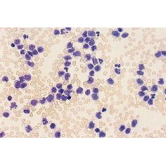 Barwniki do mikroskopii RAL do hematologii