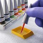 Barwniki histopatologiczne - do histologii Bio Optica barwniki