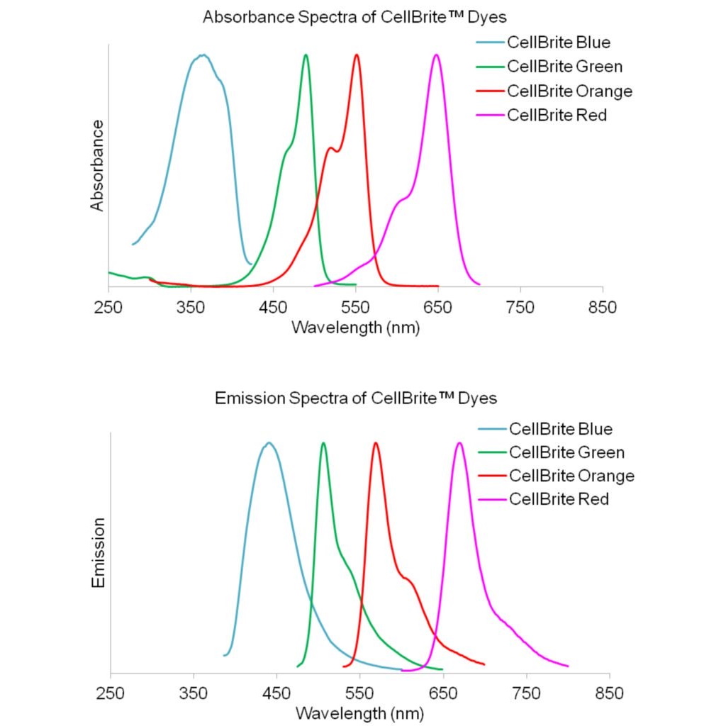 Barwniki histopatologiczne - do histologii VWR CellBrite