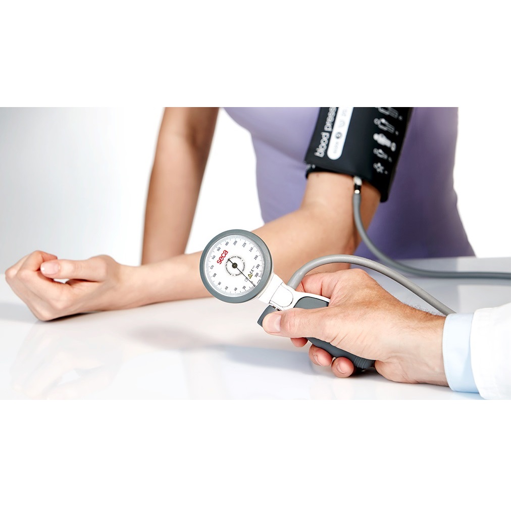 Ciśnieniomierze zegarowe (aneroidowe) SECA b11